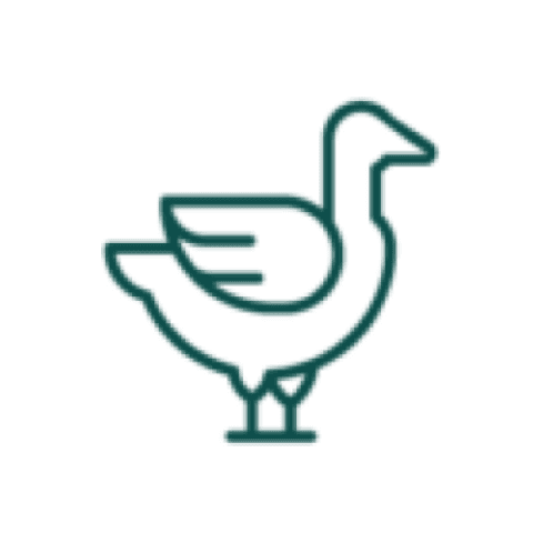 canaldis-delicassp-favicon.png