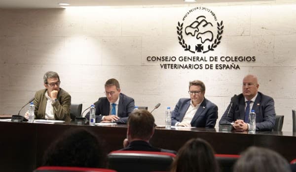 GIS - Conclusiones 1.jpg