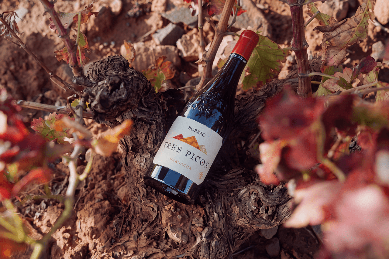 Borsao Tres Picos celebra 25 años como el vino que posicionó la garnacha aragonesa por todo el mundo