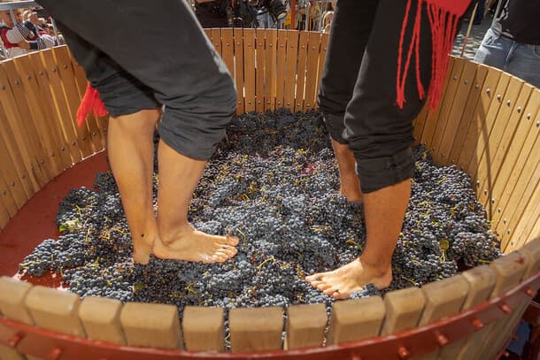Ribera del Duero presenta la VII edición de la Gran Fiesta de la Vendimia, celebrando su historia, saber hacer y pasión vinícola