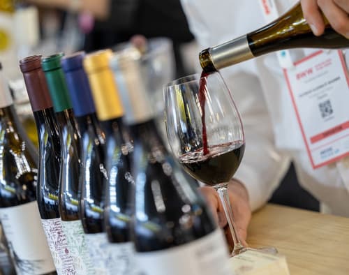Los mejores vinos españoles de viñas viejas, protagonistas de Barcelona Wine Week 2025