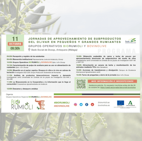 Jornadas de aprovechamiento de subproductos del olivar en pequeños y grandes rumiantes. Grupos Operativos BIORUMIOLI y BOVINOLIVE