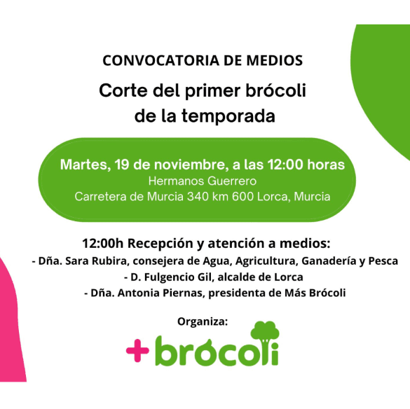 Primer corte de brócoli de la temporada