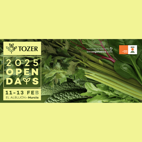 Tozer Open Days 2025