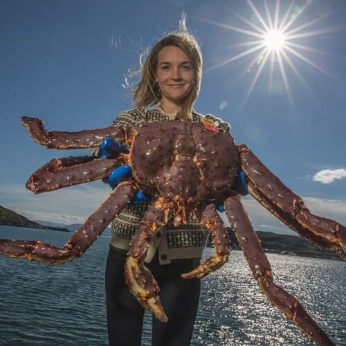 El Día de Noruega se celebrará el martes 8 de abril en el Salón Gourmets con las joyas gastronómicas del Ártico