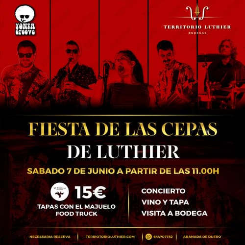 Fiesta de las Cepas de Luthier