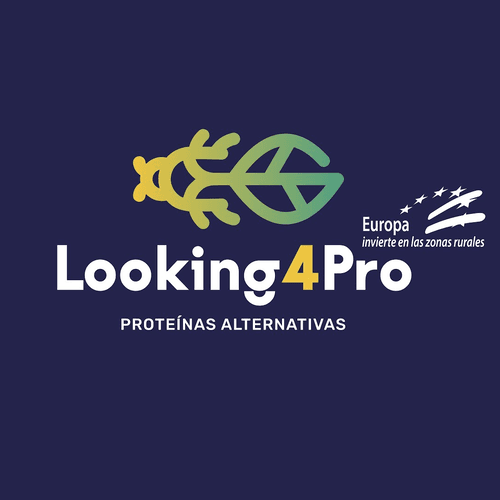 Presentación de resultados Grupo Operativo Looking4Pro