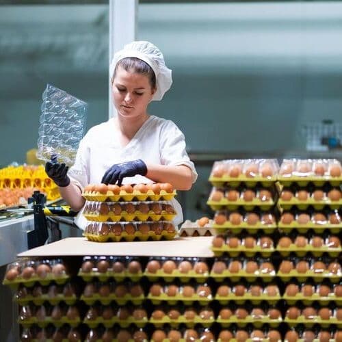 INPROVO presenta el Observatorio del Consumo del Huevo 2024: principales magnitudes de mercado y consumo
