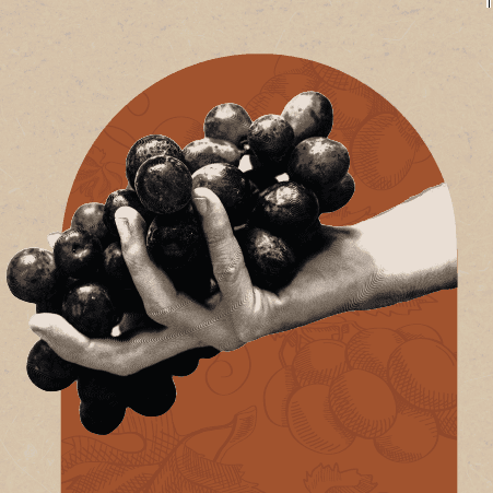 La D.O. Ribera del Duero inaugura la VIII edición de la Gran Fiesta de la Vendimia junto a Karra Elejalde y Emilio Gutiérrez Caba