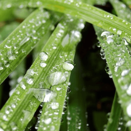 Water Positive 2030