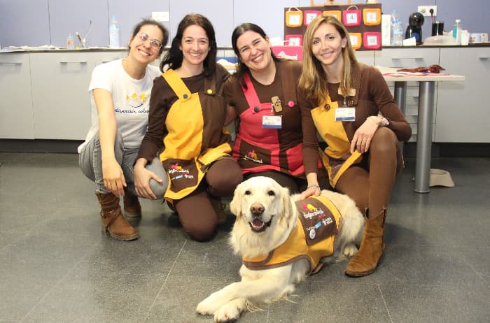 PURINA, el Hospital Clínico San Carlos y Fundación Diversión Solidaria inician un estudio científico para evaluar la mejora en pacientes adultos con trastorno de la conducta alimentaria (TCA), gracias a las Intervenciones Asistidas con Animales