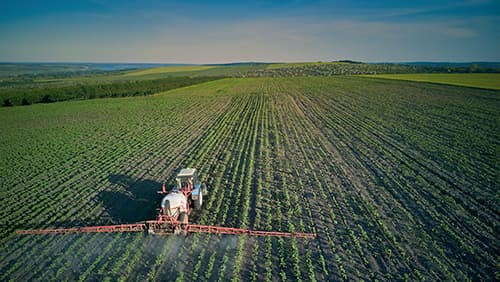 Bayer prueba con éxito el nuevo material compostable de Novamont que elimina el residuo plástico en los cultivos agrícolas