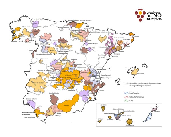 Impulso demográfico: los pueblos con viñedo mantienen cerca de un 53% más de población