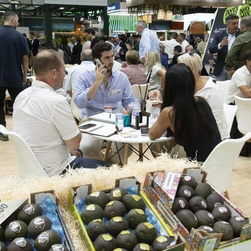 El aguacate será el producto estrella en la próxima edición de Fruit Attraction