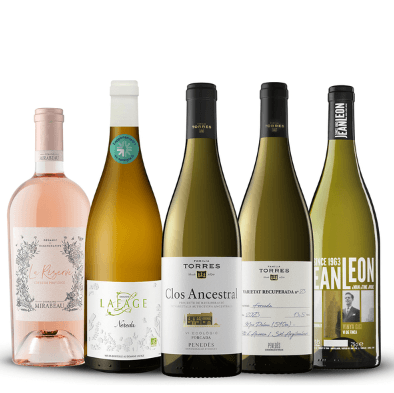 Siete bodegas de cuatro países ya cuentan con la nueva certificación internacional de viticultura regenerativa