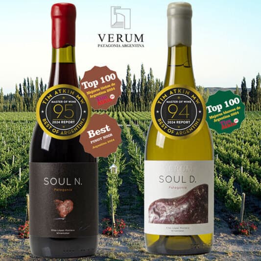 Verum se estrena en RIOJA con ITERVERUM SVS entre los mejores vinos del año