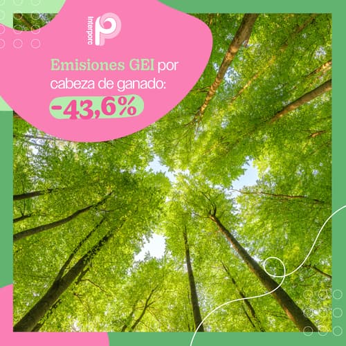 INTERPORC impulsa 6 áreas clave para cumplir con el ODS 13 y minimizar el impacto climático del porcino