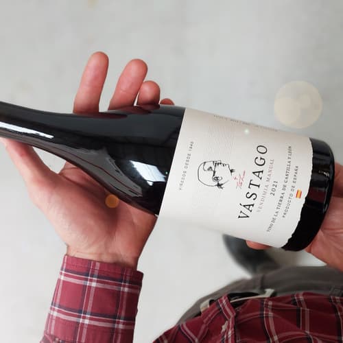 Llega Vástago 2021, un vino artesano que es todo personalidad