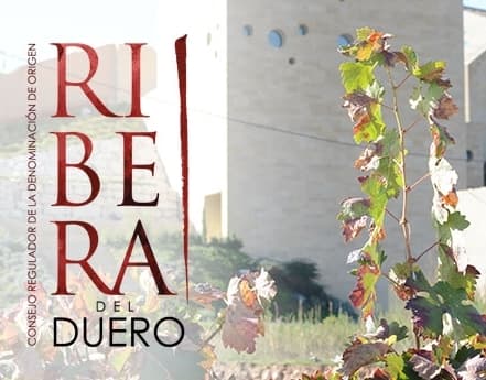 La D.O Ribera del Duero se une a la Asociación Internacional Wine Origins Alliance