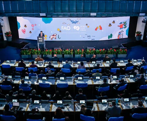 INTERPORC lleva a la ONU su declaración sobre el papel del porcino en una dieta saludable, el desarrollo rural y la sostenibilidad medioambiental