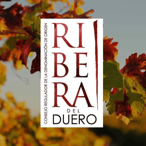 El Consejo Regulador defiende los intereses de sus operadores inscritos ante la implantación de proyectos perjudiciales para la DO Ribera del Duero