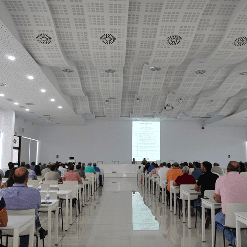 Dcoop potencia la formación en calidad y sostenibilidad entre sus almazaras