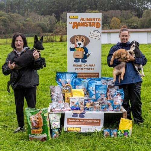 GADIS distribuye más de 80.000 kilos de productos entre 72 protectoras de animales