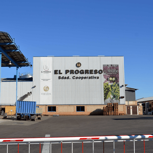 El Progreso de Villarrubia de los Ojos iniciará la campaña de la vendimia en la madrugada del 8 al 9 de agosto con la recogida del Chardonnay y Sauvignon Blanc