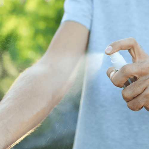 El aumento de temperatura multiplica la amenaza de mosquitos: claves para protegerse de las picaduras