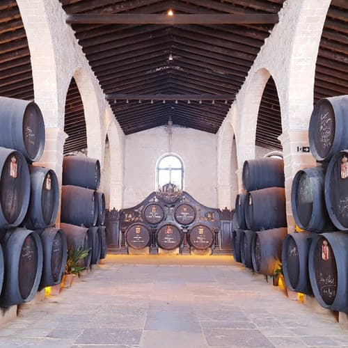 Bodegas Tío Pepe, entre las 50 mejores bodegas del mundo según The World's Best Vineyards 2024