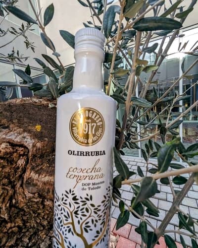 El Progreso afronta una cosecha media de aceituna con su Almazara renovada, lo que mejorará la calidad de su aceite de oliva virgen extra