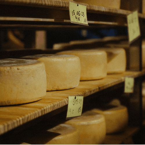 Los quesos de Lanzarote siguen cosechando éxitos: Finca de Uga logra seis medallas en los World Cheese Awards 2024