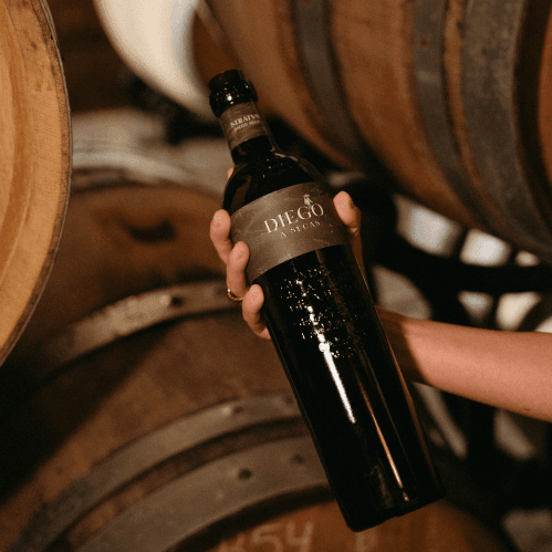 Diego a Secas, el nuevo vino blanco de Stratvs que rompe todos los esquemas