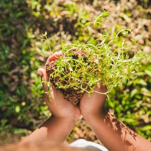 Mars anuncia acuerdos para apoyar la transición hacia la agricultura regenerativa en su cadena de suministro de alimentos para mascotas en Europa