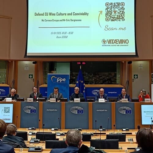 Las Denominaciones de Origen de Vino plantean sus reivindicaciones en el Parlamento Europeo