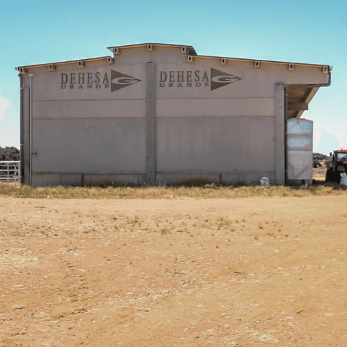 El Grupo Cooperativo Dehesa Grande incrementa más del 16 por ciento su facturación en 2024