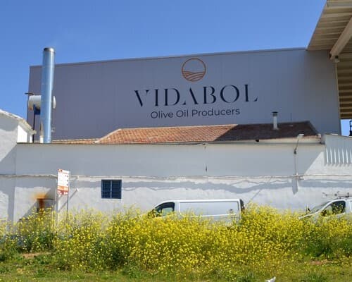 El grupo Vidabol de CLM registra una recogida récord de aceituna, con cerca de 20 millones de kilos, por encima de lo previsto