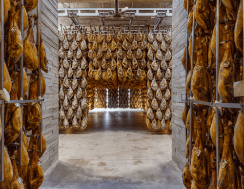 Balance exitoso del Campus del Jamón Monte Nevado en 2024: Epicentro internacional de formación, visitas gastronómicas y difusión de la cultura del jamón ibérico