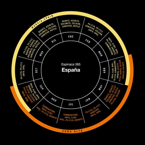 KWS Vegetables despliega su amplio conocimiento sobre baby espinaca y acelga en Murcia
