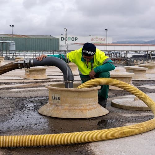 Dcoop cierra 2024 con una facturación de 1.554,95 millones de euros