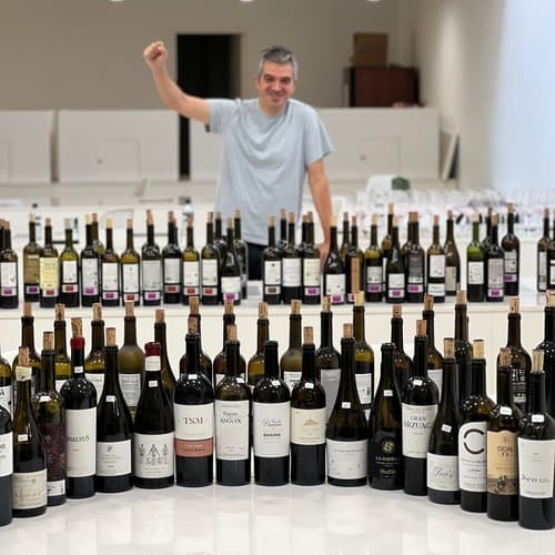 Jancis Robinson destaca la diversidad y excelencia de los vinos de Ribera del Duero