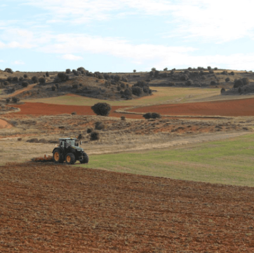Biogran impulsa la biodiversidad agrícola promoviendo cultivos alternativos y sostenibles de cereal