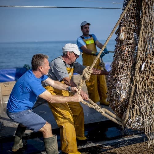 Más de 2.700 pescadores de 47 puertos españoles recogen 150 toneladas de basura marina en 2024