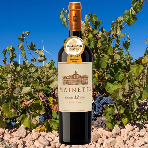 Mainetes Monastrell 2022, galardonado con el premio “Best of Show Jumilla” y medalla de oro en Mundus Vini Spring Tasting 2025