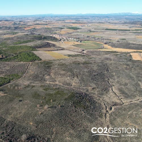 Los proyectos de reforestación impulsados por Beko Europe en España prevén neutralizar más de 700 toneladas de CO₂ en los próximos años