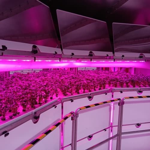 La tecnología FARMITANK, el innovador proyecto de agricultura vertical, ya está disponible en el mercado