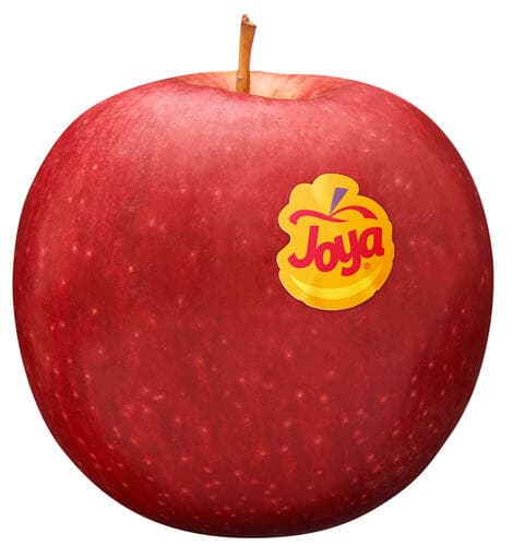 Joya® Europa presenta su nueva identidad gráfica y lanza la temporada 2024-2025 con un crecimiento dinámico