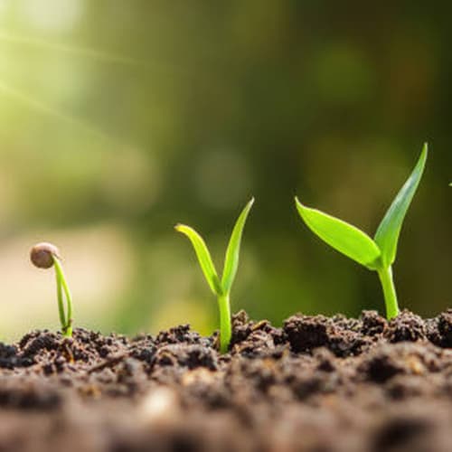 Las empresas de nutrición vegetal de mayor renombre mundial se concentran en Infoagro Exhibition