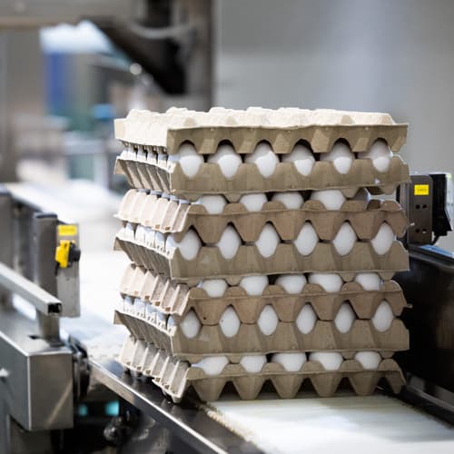 Global Eggs firma un acuerdo para adquirir Hillandale Farms