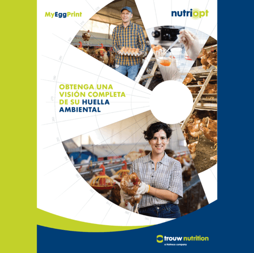 Trouw Nutrition lanza Myeggprint, la primera herramienta para medir la huella de carbono en huevos